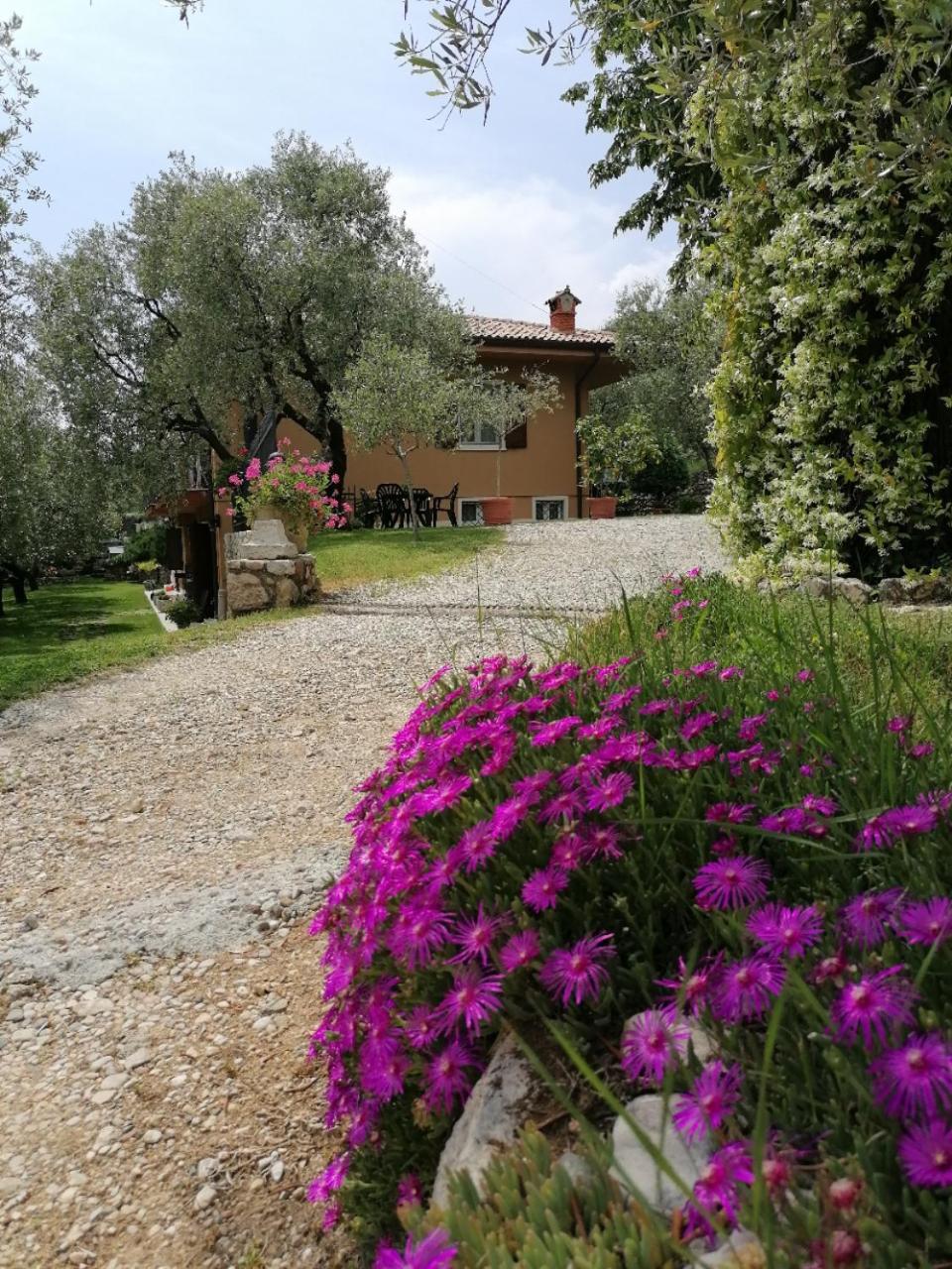 Cà Framari - Casa Vacanze Marciaga Extérieur photo